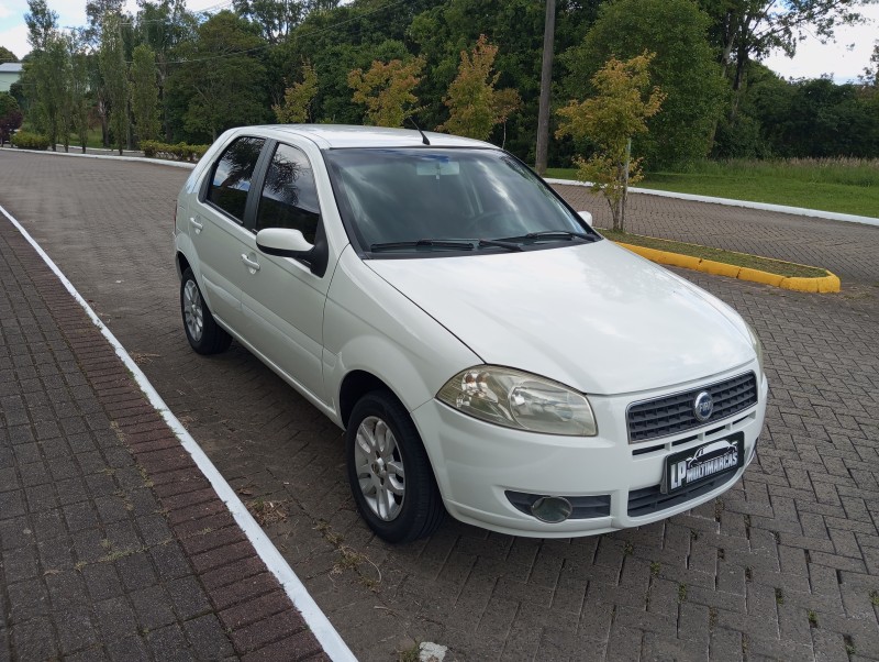 PALIO 1.4 MPI ELX 8V FLEX 4P MANUAL - 2008 - CAXIAS DO SUL