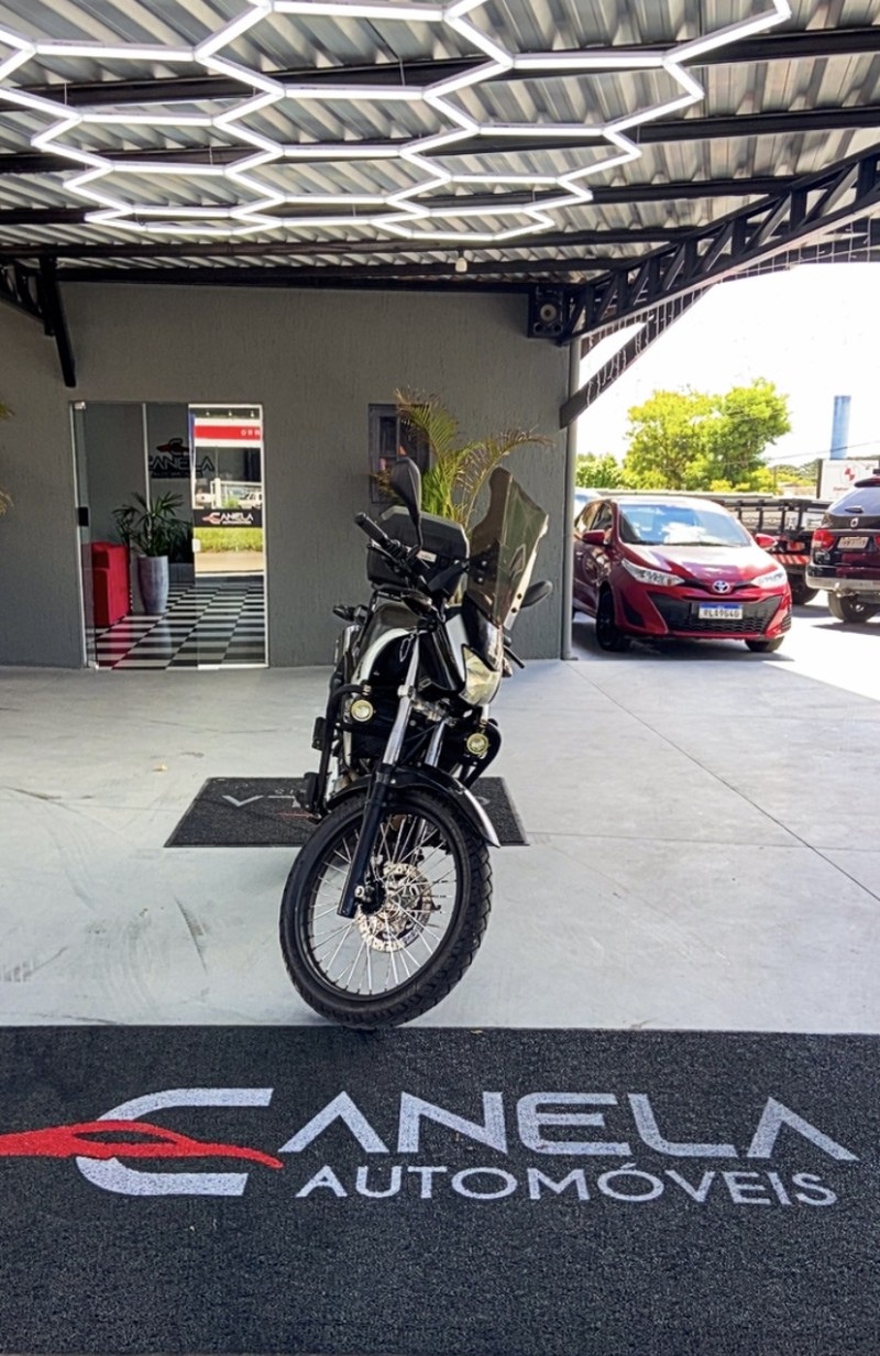 NX4 FALCON  - 2005 - CANELA