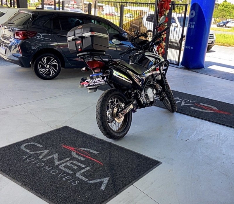 NX4 FALCON  - 2005 - CANELA