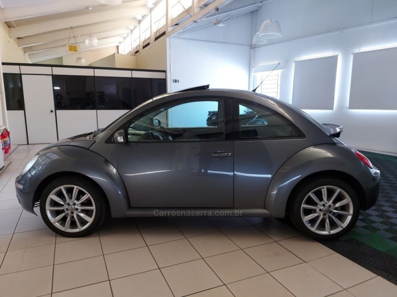 NEW BEETLE 2.0 MI 8V GASOLINA 2P MANUAL - 2010 - NOVO HAMBURGO