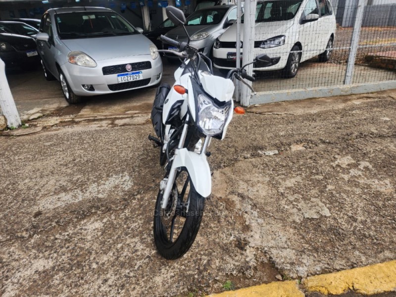 FAZER YS 150 SED - 2014 - VACARIA