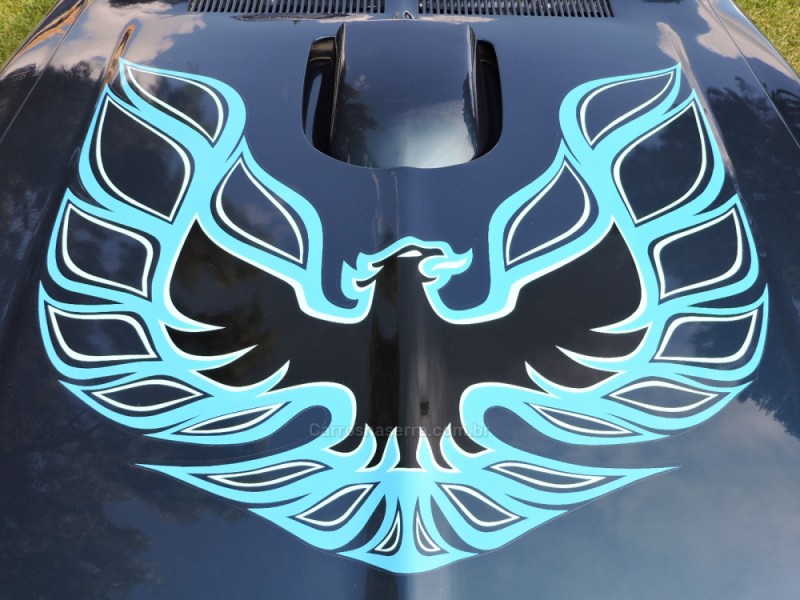 FIREBIRD 5.0 V8 16V GASOLINA 2P AUTOMÁTICO - 1974 - SãO MARCOS