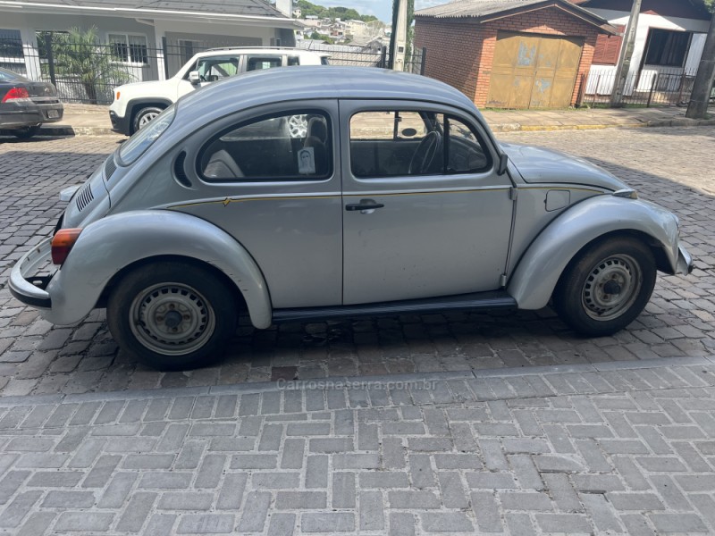 FUSCA 1.6 8V GASOLINA 2P MANUAL - 1994 - VERANóPOLIS