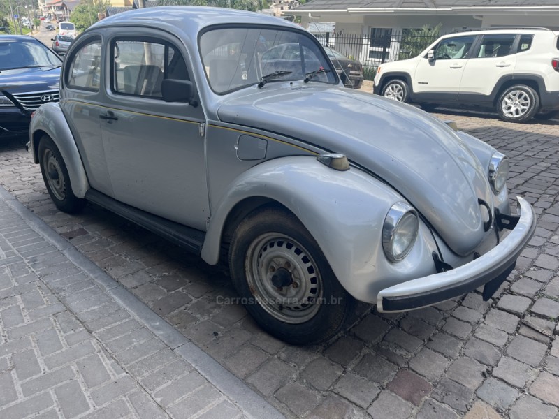 FUSCA 1.6 8V GASOLINA 2P MANUAL - 1994 - VERANóPOLIS