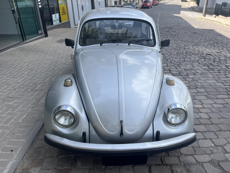 FUSCA 1.6 8V GASOLINA 2P MANUAL - 1994 - VERANóPOLIS