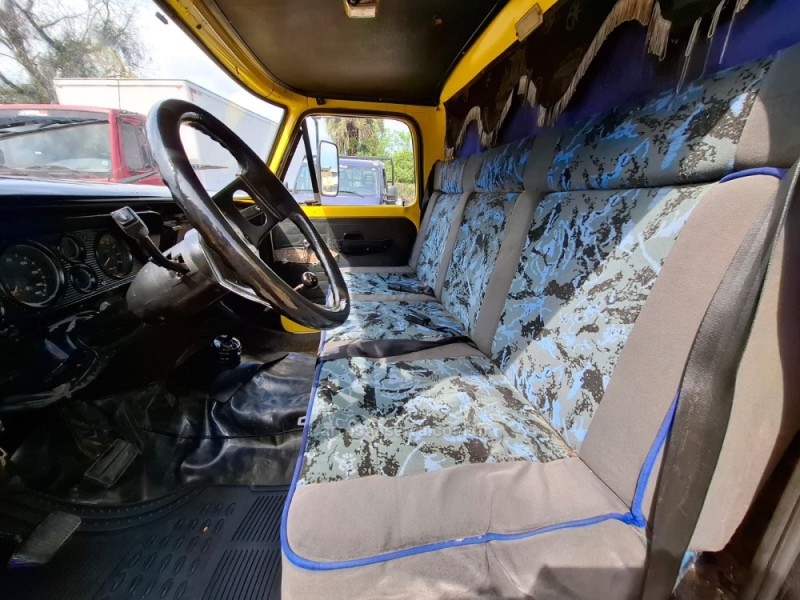 F-4000 4X2 - 1976 - PORTãO