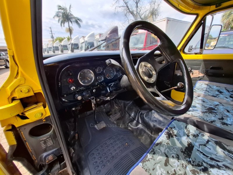 F-4000 4X2 - 1976 - PORTãO