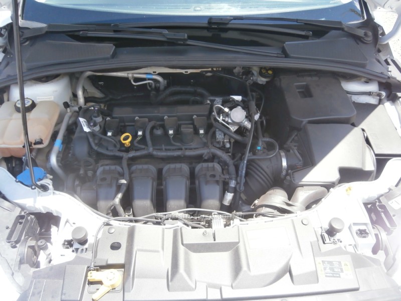 FOCUS 2.0 TITANIUM PLUS HATCH 16V FLEX 4P AUTO - 2017 - FARROUPILHA