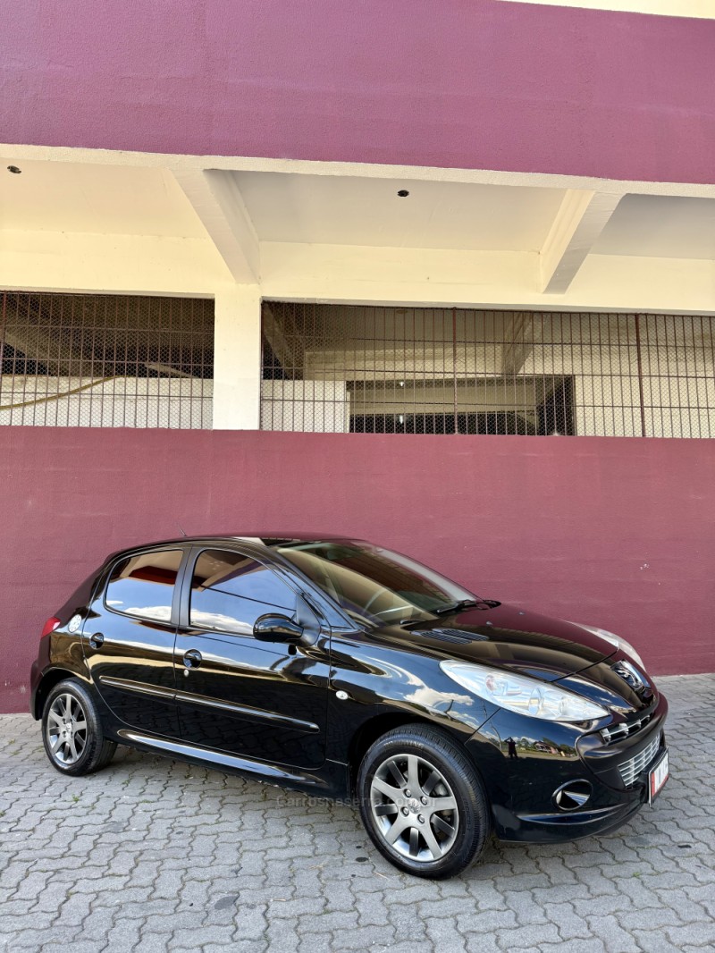 207  2011 caxias do sul