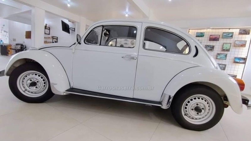 FUSCA 1300 - 1981 - VACARIA