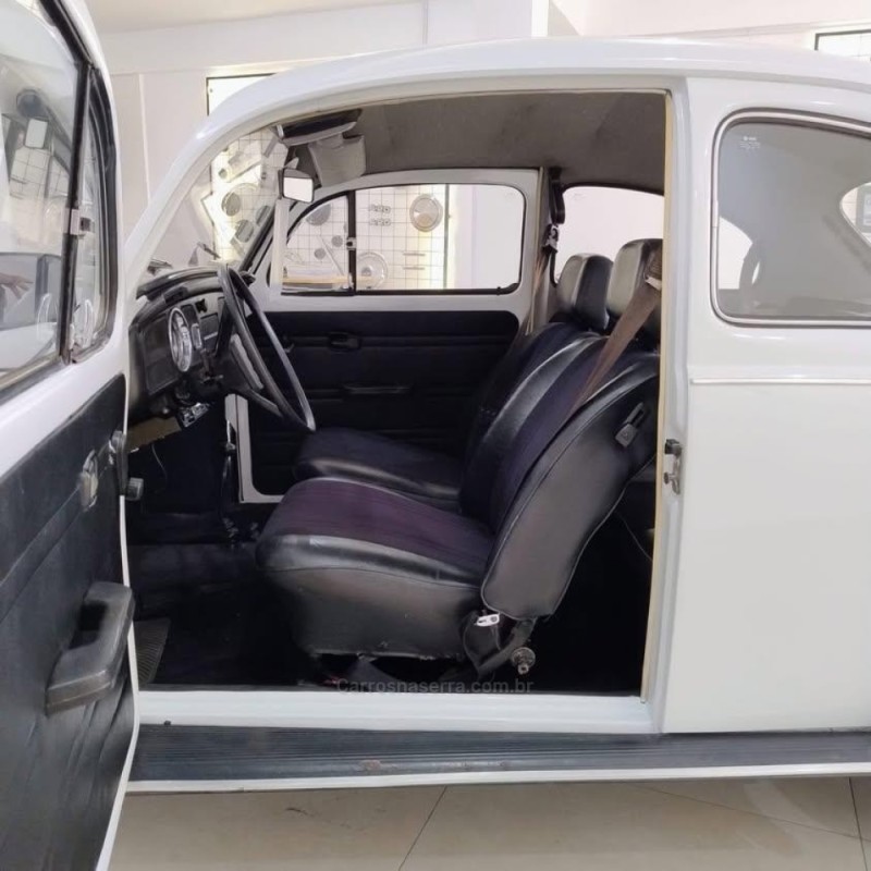 FUSCA 1300 - 1981 - VACARIA