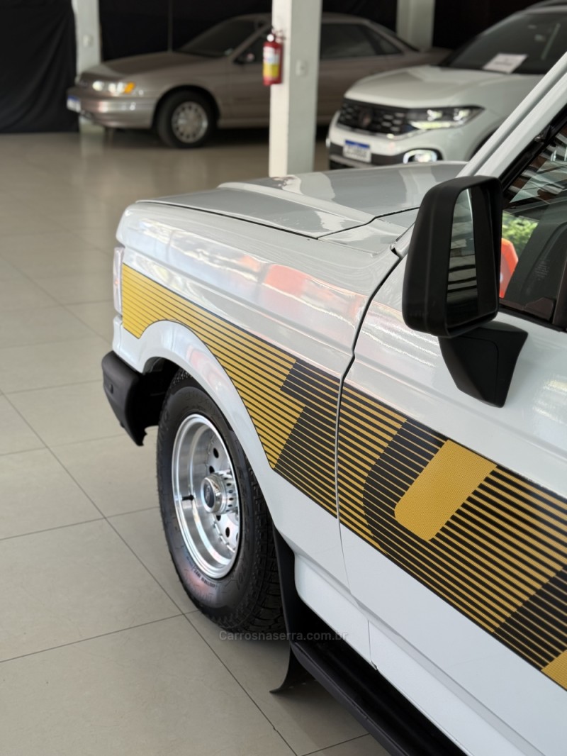 F-1000 3.9 SUPER CE 8V DIESEL 2P MANUAL - 1994 - FARROUPILHA