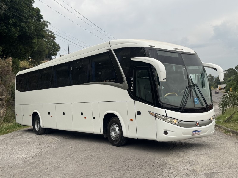 PARADISO  - 2012 - CAXIAS DO SUL