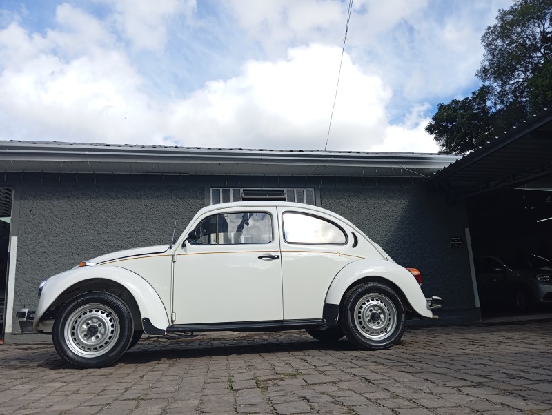 FUSCA 1.6 8V GASOLINA 2P MANUAL - 1994 - CAXIAS DO SUL