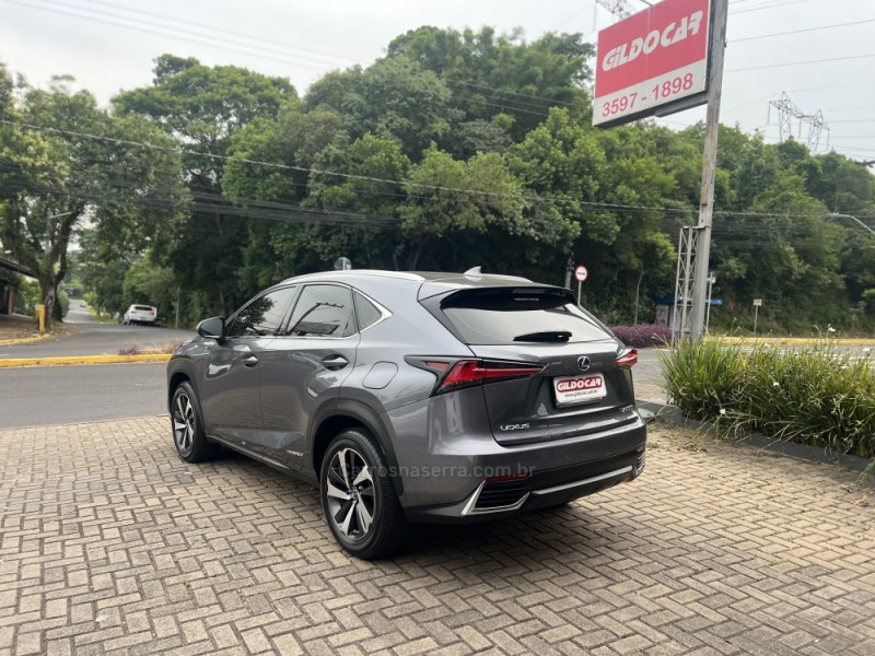 NX300 H 2.5 LUXURY 16V HÍBRIDO 4P AUTOMÁTICO - 2021 - CAMPO BOM