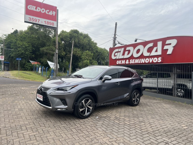 nx300 h 2.5 luxury 16v hibrido 4p automatico 2021 campo bom