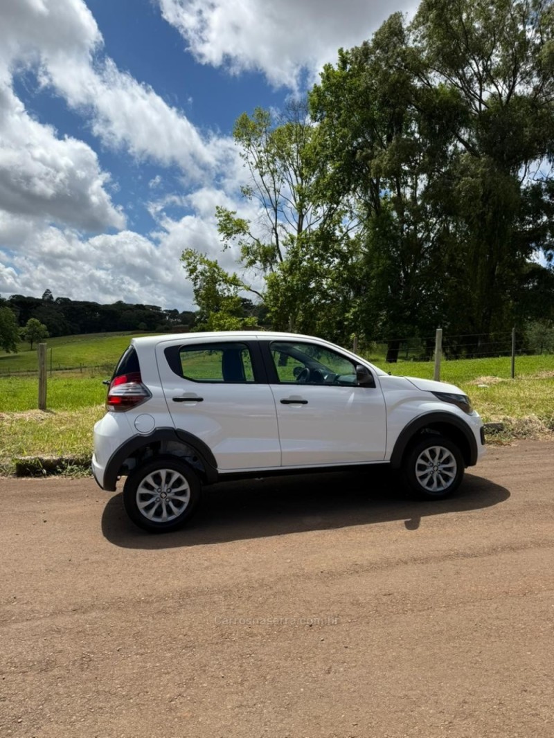 MOBI 1.0 6V FIREFLY FLEX LIKE MANUAL - 2025 - IBIRAIARAS