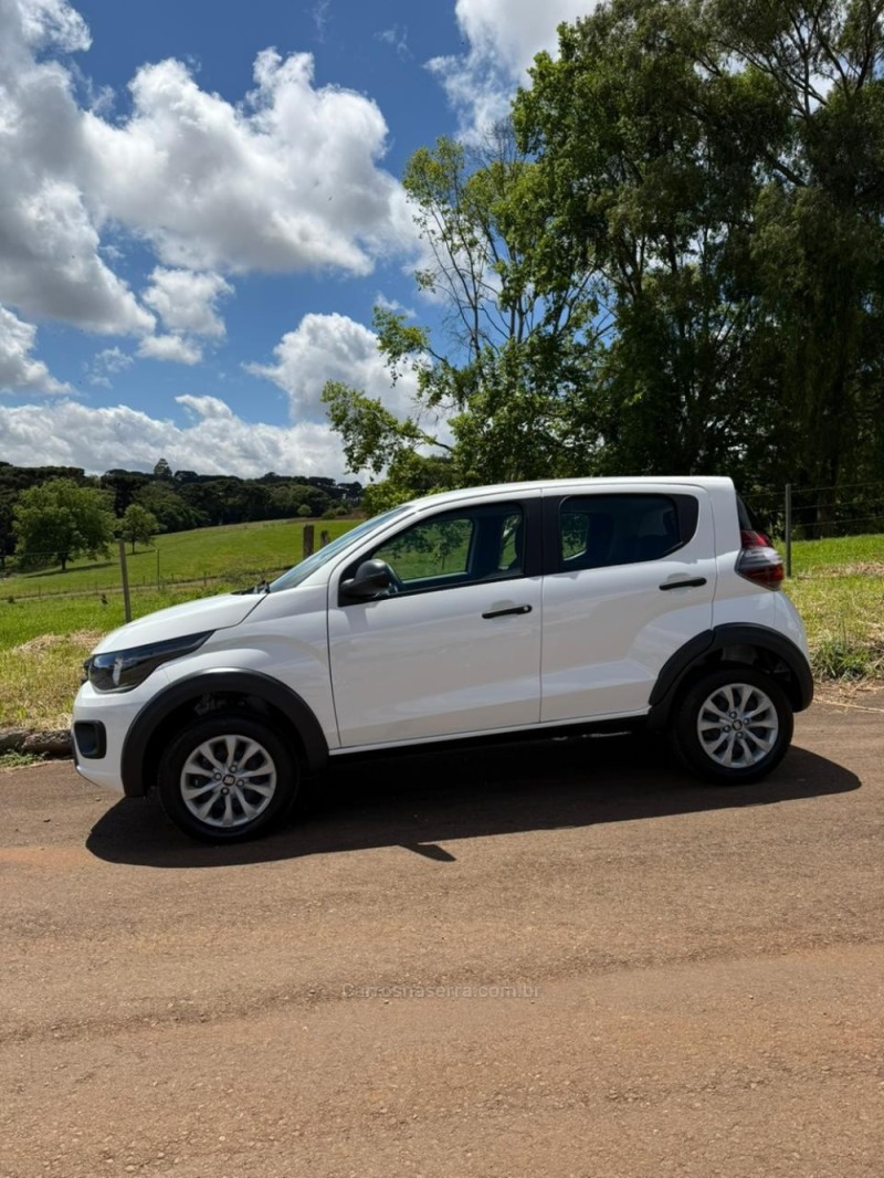 MOBI 1.0 6V FIREFLY FLEX LIKE MANUAL - 2025 - IBIRAIARAS