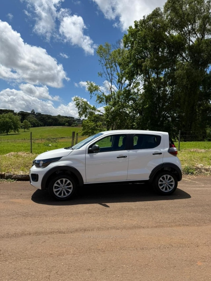 MOBI 1.0 6V FIREFLY FLEX LIKE MANUAL - 2025 - IBIRAIARAS