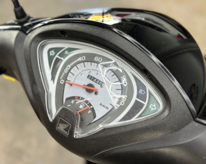 BIZ 100 ES - 2014 - VACARIA