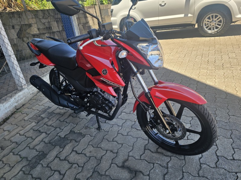 FAZER 150 FLEX FZ15 - 2024 - BENTO GONçALVES