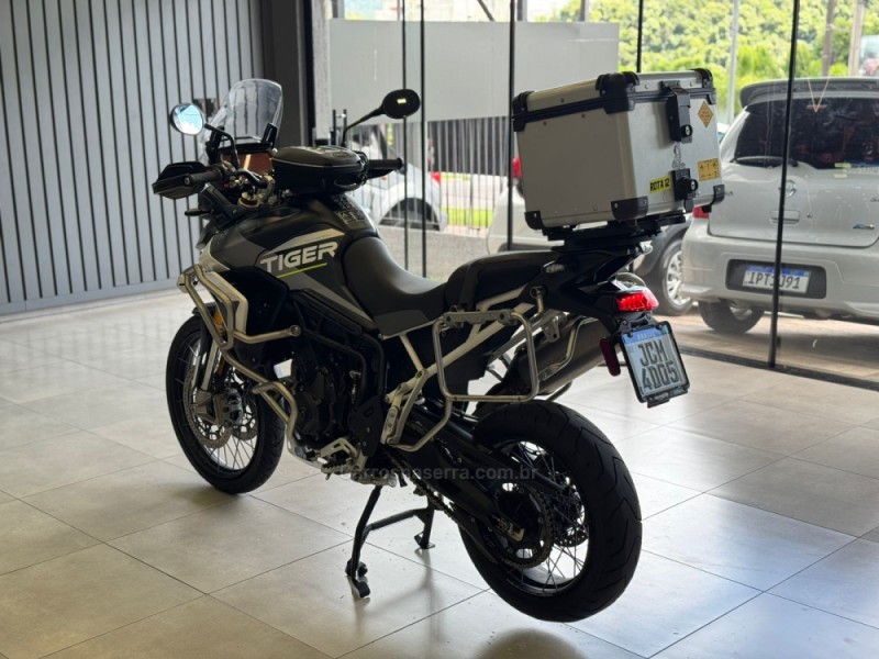 TIGER 900 RALLY ARAGÓN  - 2024 - DOIS IRMãOS