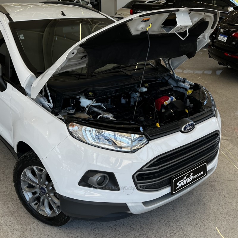 ECOSPORT 1.6 FREESTYLE 16V FLEX 4P MANUAL - 2016 - VACARIA