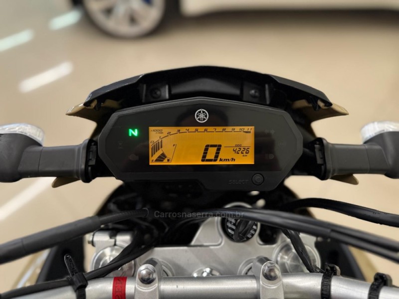 XTZ 250 LANDER - 2023 - VACARIA