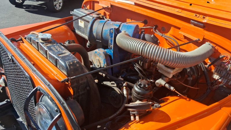 JEEP  - 1979 - FLORES DA CUNHA