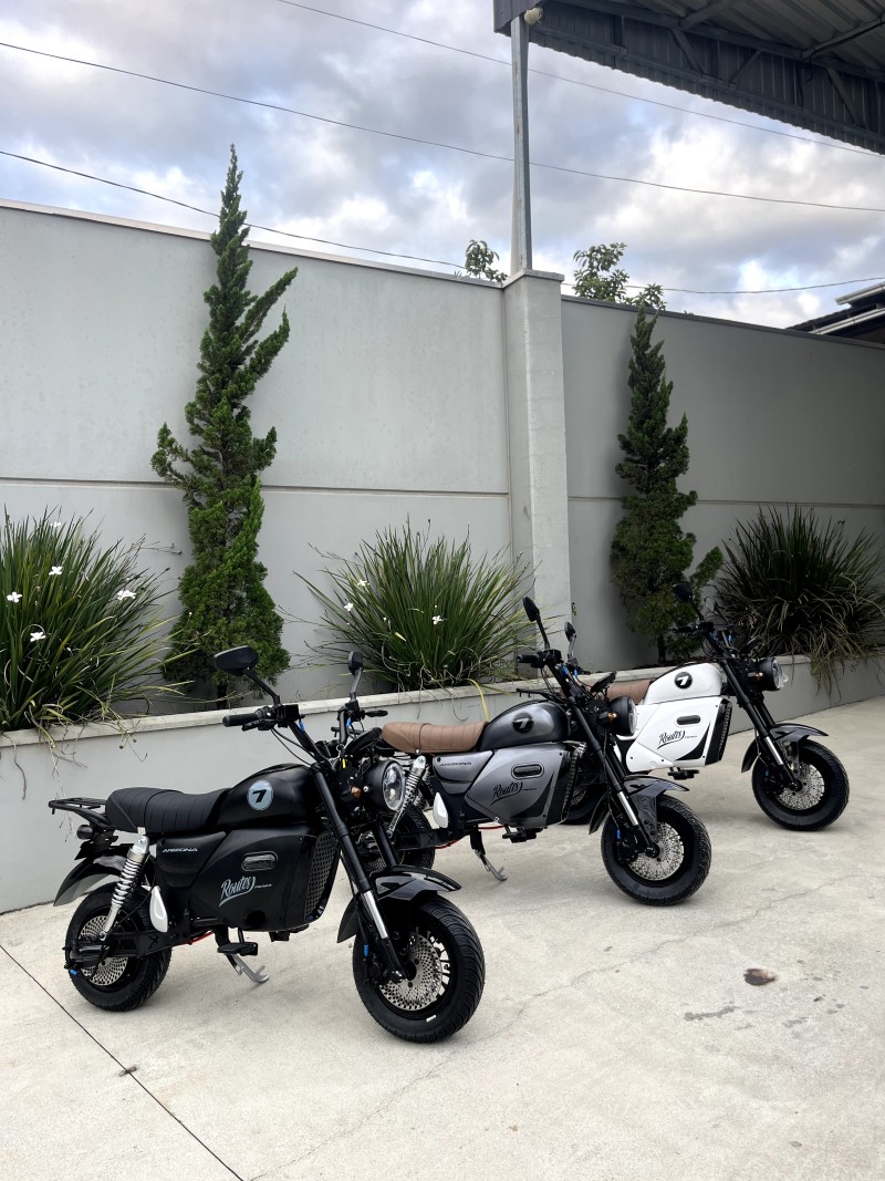 ARIZONA  - 2026 - VERANóPOLIS