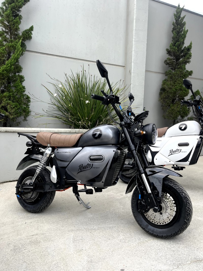 ARIZONA  - 2026 - VERANóPOLIS