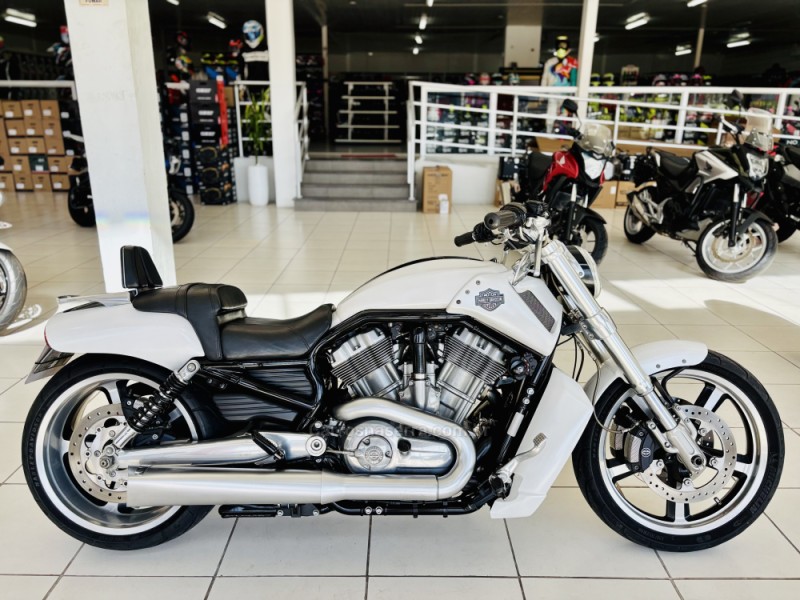 v rod muscle  2011 novo hamburgo