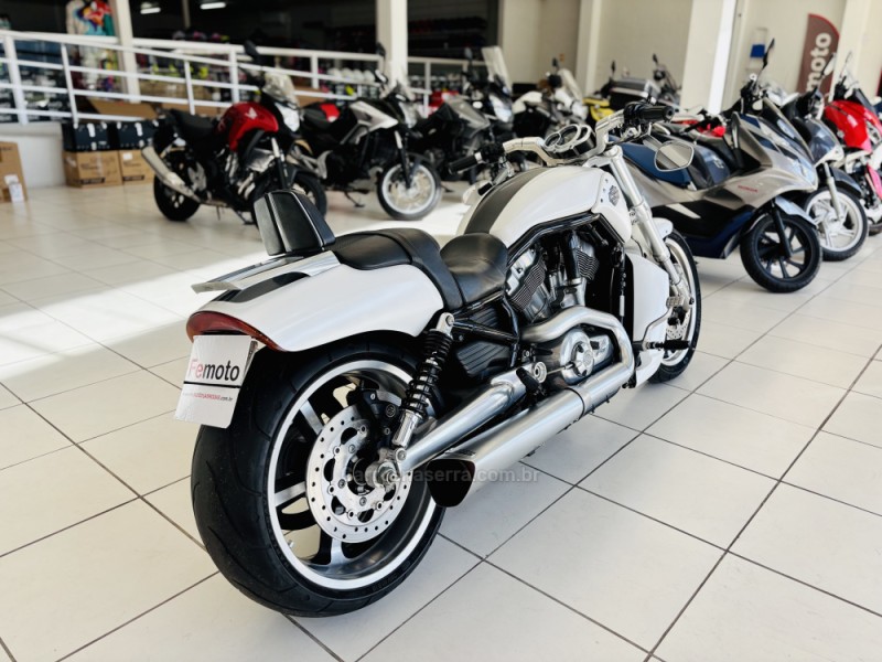 V-ROD MUSCLE  - 2011 - NOVO HAMBURGO