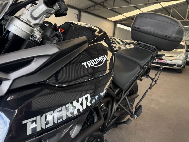 TIGER 800 XR  - 2016 - CAXIAS DO SUL