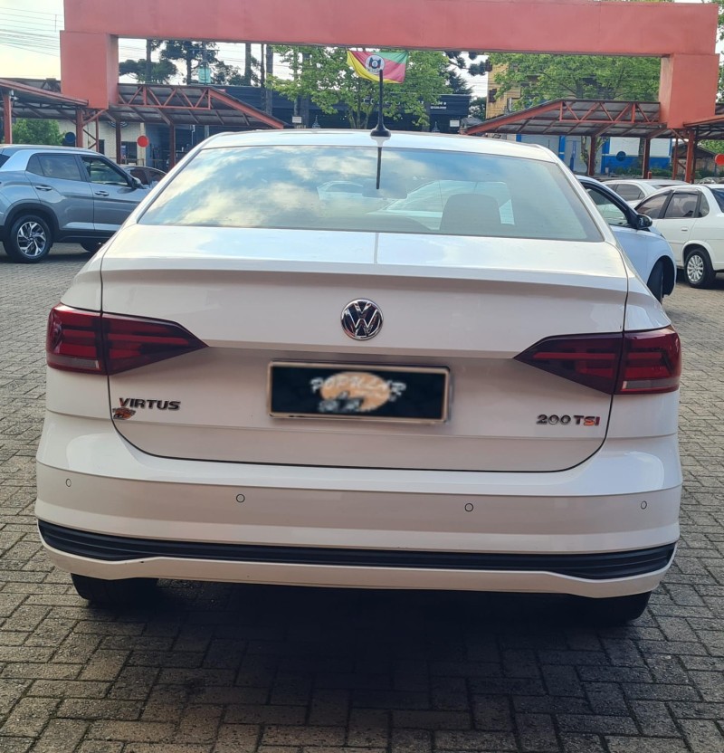 VIRTUS  - 2022 - CANELA