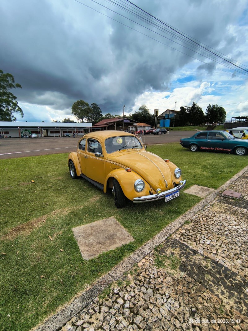 FUSCA 1.5 8V GASOLINA 2P MANUAL - 1980 - CAXIAS DO SUL