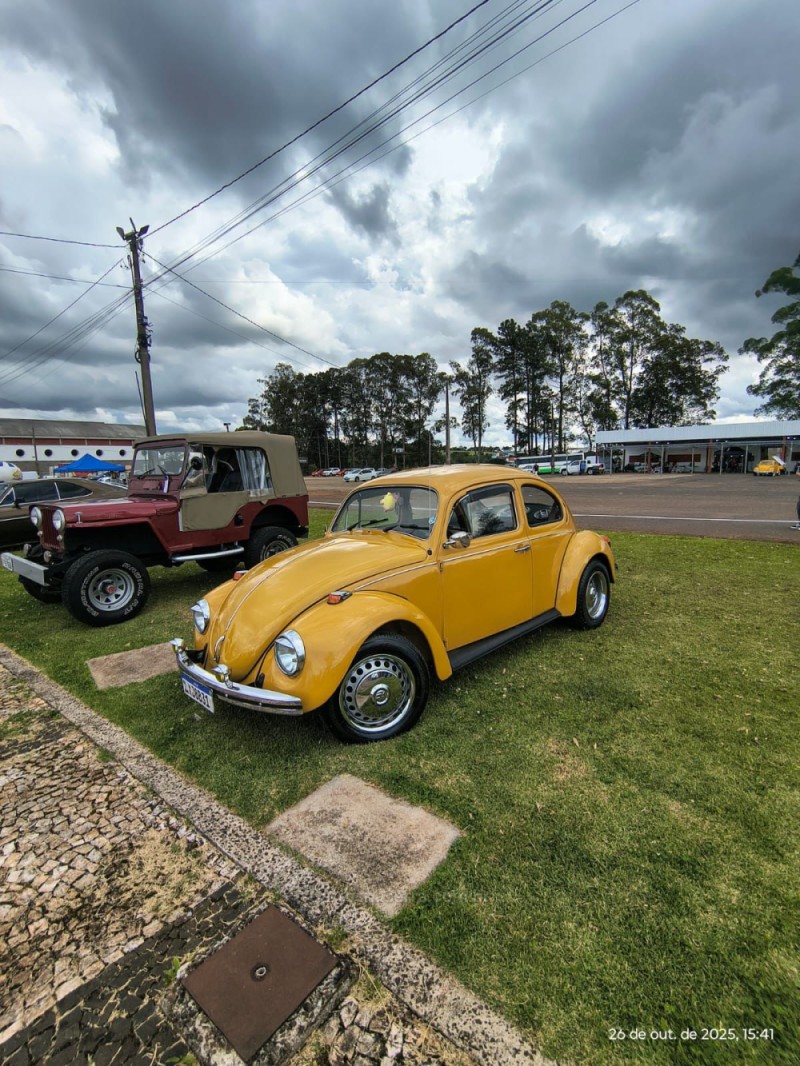 FUSCA 1.5 8V GASOLINA 2P MANUAL - 1980 - CAXIAS DO SUL