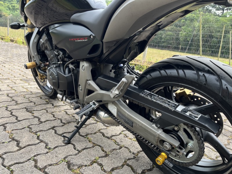 CB 600F HORNET - 2009 - NOVA BASSANO