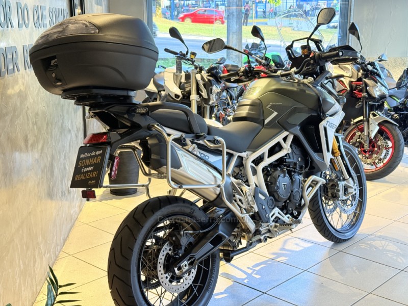 TIGER 900 GT PRO  - 2025 - CAXIAS DO SUL