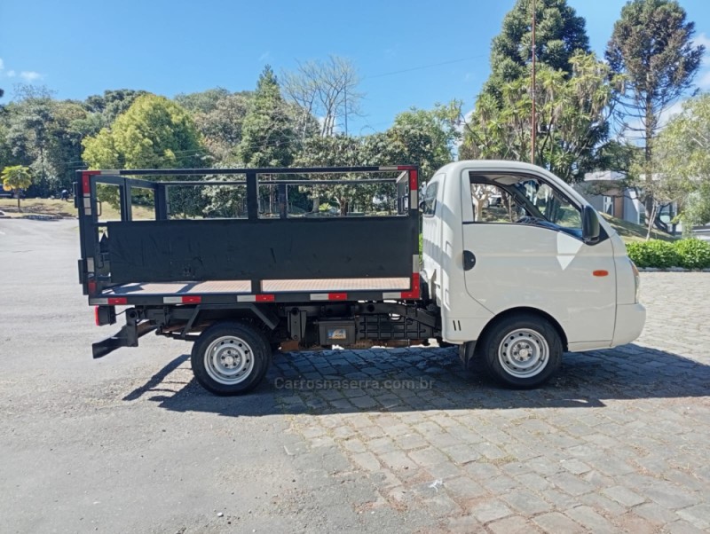 HR 2.5 LONGO BAÚ 4X2 16V 130CV TURBO INTERCOOLER DIESEL 2P MANUAL - 2010 - FARROUPILHA