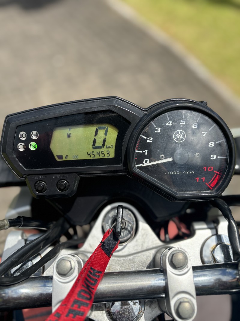 FAZER YS 250 BLUEFLEX - 2015 - FELIZ