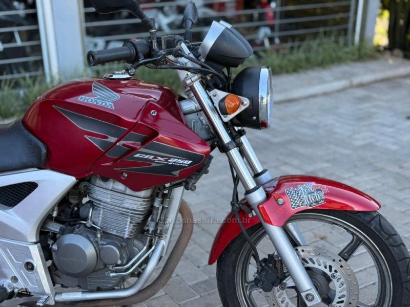 CBX 250 TWISTER  - 2007 - VACARIA