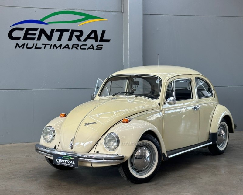 FUSCA 1300 - 1974 - VACARIA