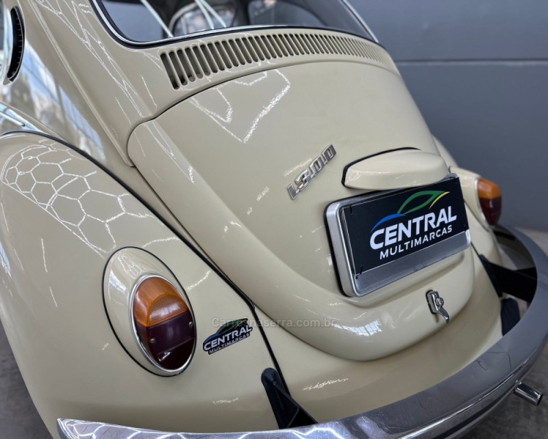 FUSCA 1300 - 1974 - VACARIA