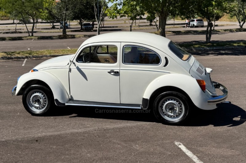 FUSCA 1.6 8V GASOLINA 2P MANUAL - 1986 - BENTO GONçALVES