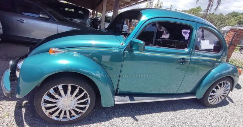 FUSCA 1.6 8V GASOLINA 2P MANUAL - 1996 - GRAMADO