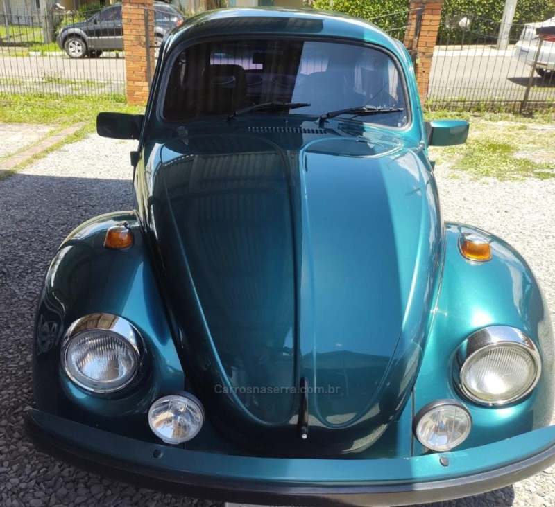 FUSCA 1.6 8V GASOLINA 2P MANUAL - 1996 - GRAMADO