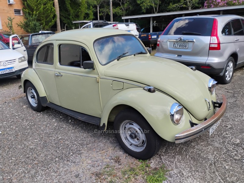 FUSCA 1.3 8V GASOLINA 2P MANUAL