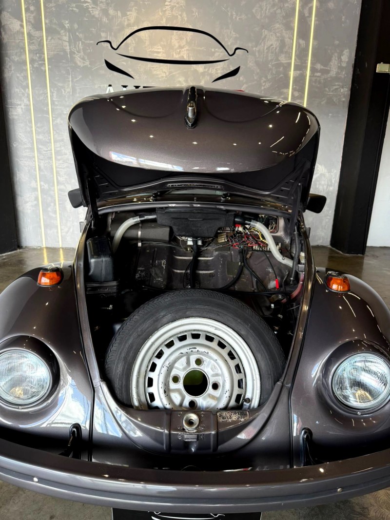 FUSCA 1.6 8V GASOLINA 2P MANUAL - 1996 - CAXIAS DO SUL