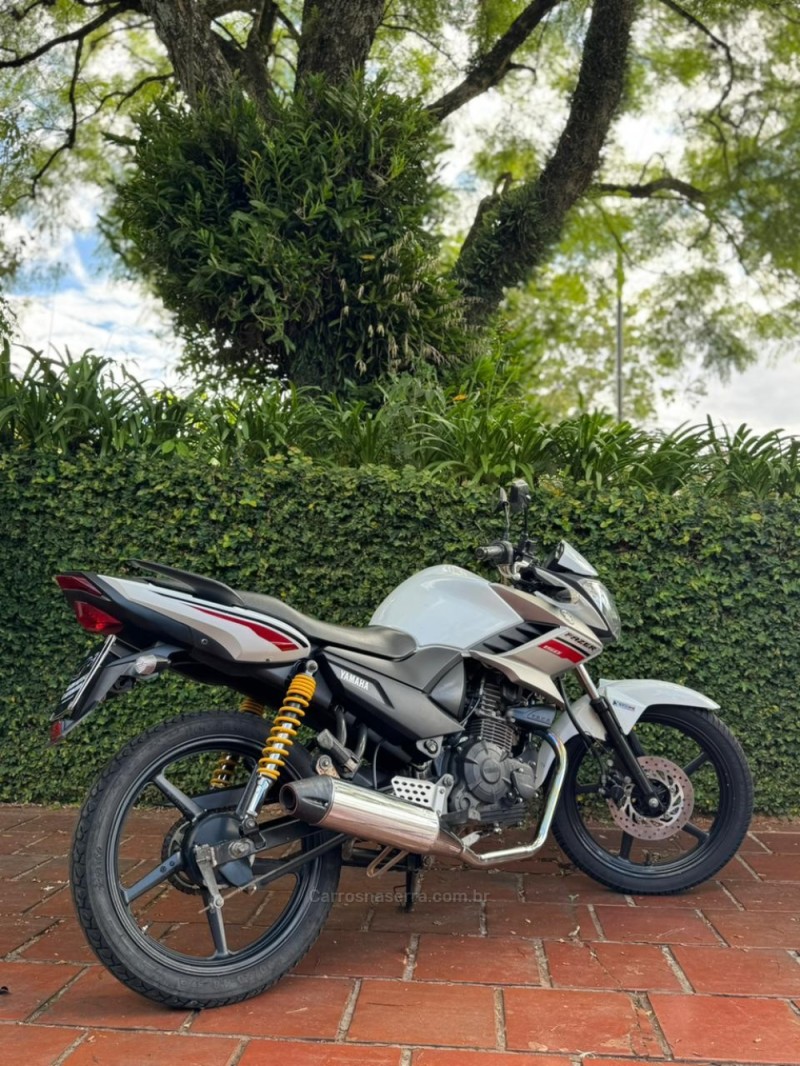 FAZER YS 150 SED - 2019 - LAJEADO